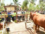 tim-verifikasi-kabupaten-sehat.jpg