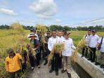 titiek-soeharto-tinjau-jalanya-panen-raya-bersama-mentan.jpg