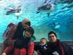tobe1_20161230_103740.jpg<pf>tobe5_20161230_104027.jpg