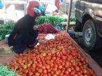 tomat-di-pasar-tradisional-sul.jpg