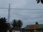 tower-jaringan-telekomunikasi-di-wilayah-kecamatan-wotu_20180212_111830.jpg