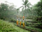 tradisi-subak-di-bali-yang-hari-ini-jadi-backgroud-di-halaman-pencarian-google.jpg