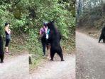 video-tiga-wanita-yang-didekati-beruang-hitam-jadi-viral-di-media-sosial.jpg