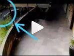 video-viral-oknum-pns-terciduk-berzina.jpg