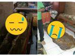 viral-kerangka-mnausia-ditemukan-di-bawah-bangunan-musala-inilah-sosok-pemilik-kerangka-itu.jpg