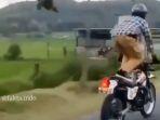 viral-pria-nekat-atraksi-berdiri-di-tas-motor-trail-dan-berakhir-jatuh-di-sawah.jpg