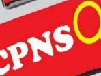 website-cpns-2019-error-lemot-atau-down-sscasnbkngoid-lakukan-3-langkah-berikut-sebagai-solusi.jpg