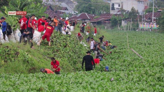 Demi Revitalisasi Danau Tondano, ROR Ajak Bersihkan Eceng Gondok dan Lestarikan Budaya