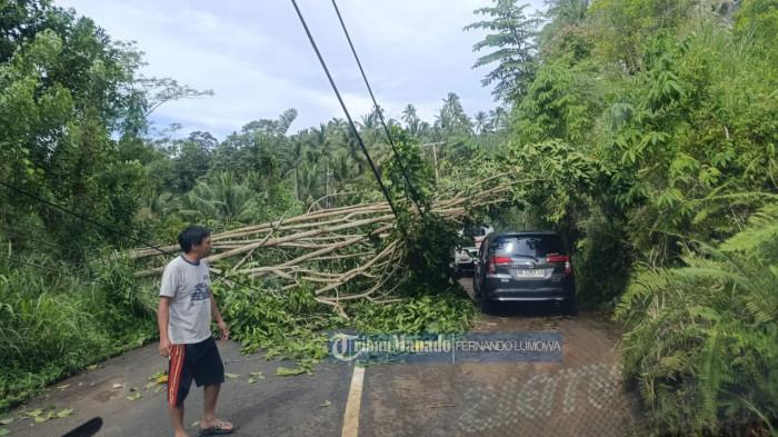 BMKG - Cuaca ekstrem berupa hujan lebat yang mengguyur wilayah Kabupaten Minahasa, Sulawesi Utara, selama beberapa hari terakhir mulai memicu dampak buruk. Pada Sabtu (30/5/2026), peristiwa tanah longsor dan pohon tumbang dilaporkan terjadi di sejumlah titik rawan.