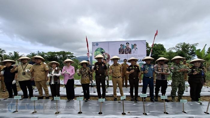 PEMKAB SANGIHE - Bupati Kepulauan Sangihe Michael Thungari bersama Kejaksaan Tinggi Sulawesi Utara (Sulut) menggelar penanaman bibit cabai di Kampung Lenganeng, Kecamatan Tabukan Utara, Senin (18/5/2026). Penanaman dilakukan bersama jajaran pemerintah daerah, aparat Forkopimda, kelompok tani, dan masyarakat setempat.