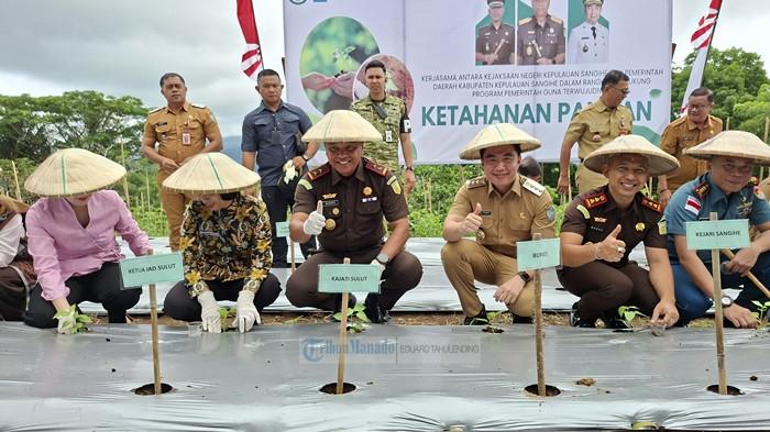 Bupati Kepulauan Sangihe Michael Thungari tanam bibit cabai  12