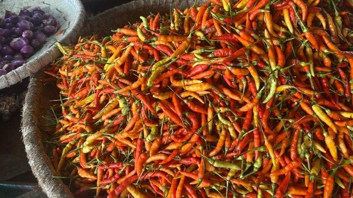 Harga Rica di Pasar Karombasan Manado Sulut Malah Turun Drastis, Jadi Segini Per Kilogram