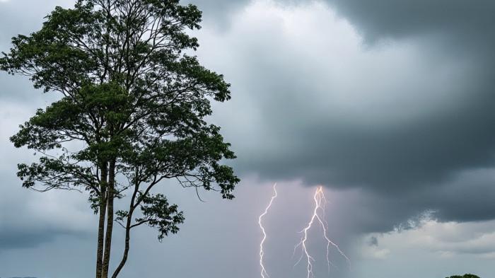 Prakiraan Cuaca Sulawesi Utara Rabu 24 September 2025, Cek Sini Daerah Mana Saja Diguyur Hujan Besok