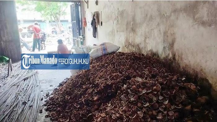 HARGA KOPRA - Harga kopra terkini di Kota Manado, Sulawesi Utara (Sulut) pada Rabu 13 Januari 2025. Penjaga gudang kopra di Kelurahan Calaca, Kecamatan Wenang, Ida mengungkapkan bahwa harga kopra mengalami penurunan.
