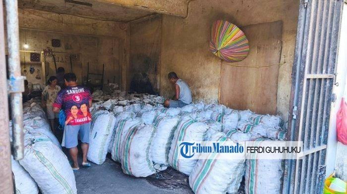 Harga Kopra di Manado Sulawesi Utara Naik Tipis Rabu 29 Oktober 2025