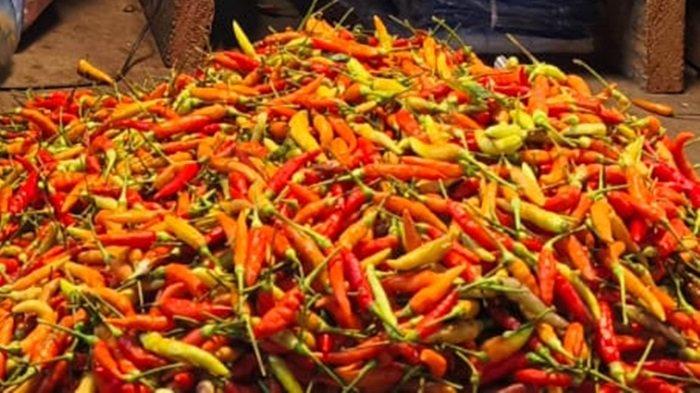 Harga Cabai Rawit Ancam Cita Rasa Kuliner Manado