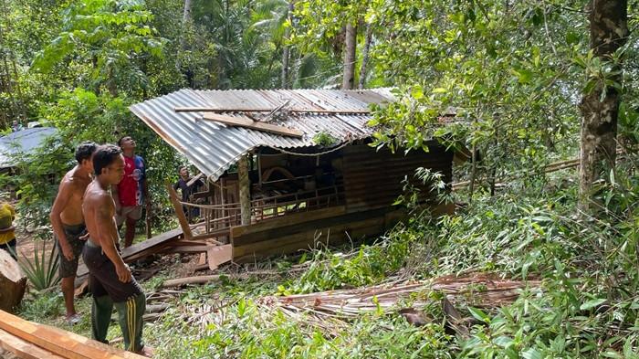 KEBUN CENGKIH - Area kebun cengkih yang jadi lokasi pemetik cengkih Tahulending Malintoi di Kampung Batunderang, Kecamatan Manganitu Selatan, Kabupaten Kepulauan Sangihe, Provinsi Sulawesi Utara (Sulut) yang jatuh dari pohon saat memetik cengkih, Rabu (10/6/2026) pagi. Korban ditemukan dalam kondisi meninggal dunia.