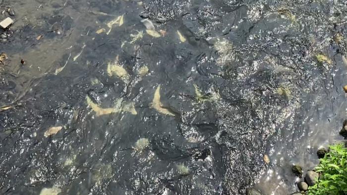 Kondisi memprihatinkan terlihat di sungai kawasan Pasar Pinasungkulan