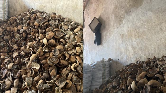 INFO HARGA - Potret Kopra di gudang penyimpanan Calaca, Kota Manado, Sulawesi Utara, Kamis (13/11/2025).