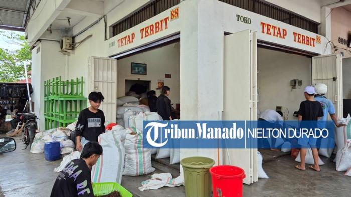 Daftar Harga Cengkih, Coklat, Hingga Minyak Nilam, Sukses Buat Petani BMR Tersenyum