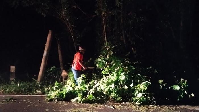 POHON TUMBANG - Cuaca ekstrem di Minahasa Utara (Minut), Sulawesi Utara (Sulut) pada Jumat (7/11/2025) malam, mengakibatkan terjadi pohon tumbang di beberapa lokasi berbeda. Petugas BPBD Minut melalukan evakuasi pohon tumbang sedikit menutup badan jalan.
