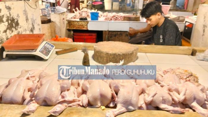 PASAR: Pedagang daging ayam di Pasar Bersehati Manado, Sulawesi Utara, Rabu 14 Januari 2026.
