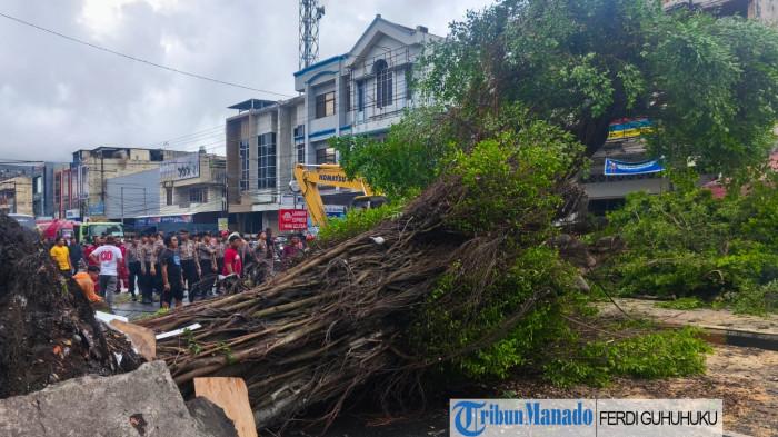 POHON TUMBANG - Pohon tumbang di Jalan RW Monginsidi, Kota Manado, Sulawesi Utara, Jumat (14/11/2025). DLH disalahkan karena diduga tidak menindaklanjuti laporan masyarakat terkait pohon beringin berukuran besar yang hampir tumbang di Jalan RW Mongisidi.