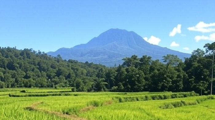 Prakiraan Cuaca Sulawesi Utara Besok Kamis 2 Oktober 2025, BMKG: Bolmong Cerah, Manado Hujan