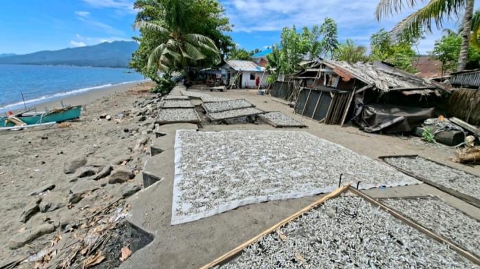 Program Unima. Foto 4