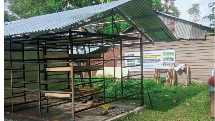 Program Unima. Foto 5