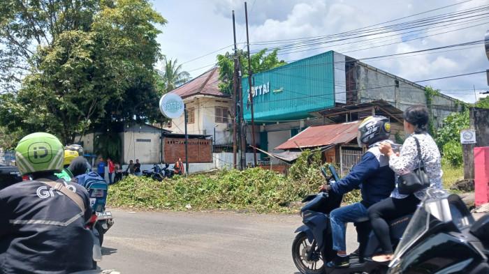 POHON TUMBANG - Sisa-sisa pohon tumbang di Jalan Lumimuut, Tikala, Manado, Sulawesi Utara, Selasa (14/4/2026). Peristiwa ini akibat cuaca ekstrem.