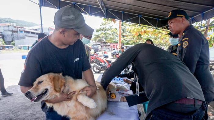 Peringati Hari Rabies Sedunia, Pemerintah Berikan 1000 Vaksin Rabies Gratis di Manado