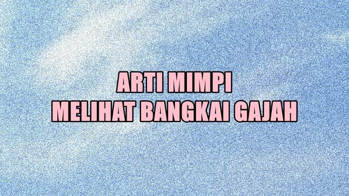 Arti Mimpi Melihat Bangkai Gajah, Bisa Jadi Tanda Datangnya Rezeki, Ini Tafsir Lengkapnya