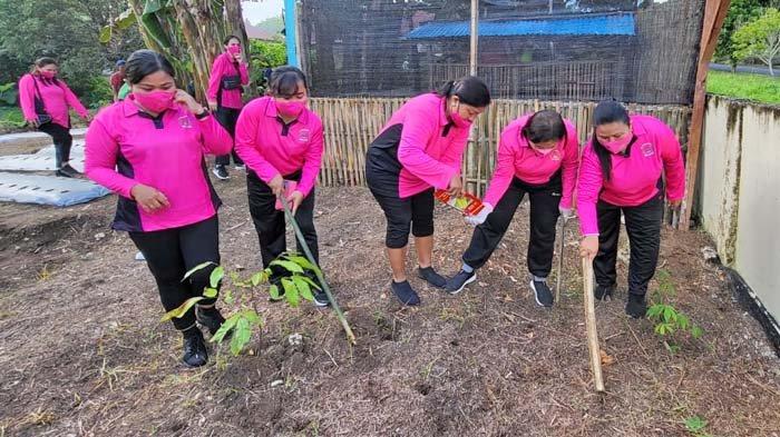 Bhayangkari Cabang Talaud Tanam Sayur di Lahan Kosong, Membuka P2L untuk Dukung Program Pemerintah