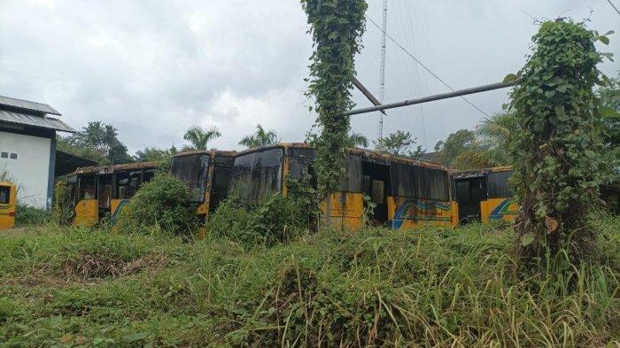 BRT di Manado Sulawesi Utara, Dulunya Bus Termodern, Kini Ditumbuhi Tanaman Menjalar