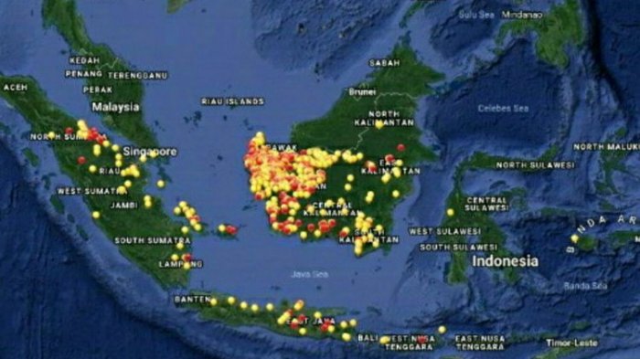 Info BMKG: Peringatan Dini Gelombang Tinggi dan Kebakaran Hutan, Hari Ini Kamis 12 September 2019