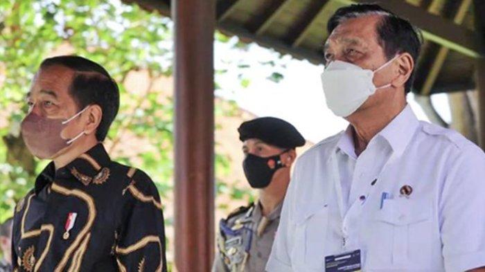 Jokowi Ulang Tahun ke-61, Luhut Pandjaitan: 'Saya Bahagia Bisa Bekerja dan Mengabdi untuk Beliau'