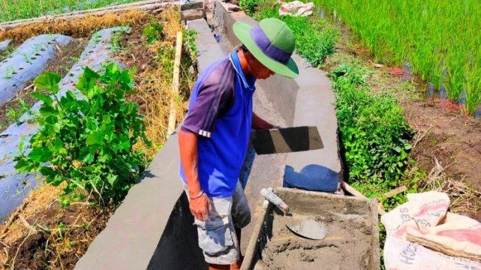 Antisipasi Dampak Musim Penhujan, Pemdes Moonow di Boltim Sulawesi Utara Bangun Irigasi