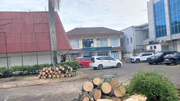 Pohon Tumbang di Hotel Manado, Pedagang Sebut Angin Kencang Sejak Kemarin Malam