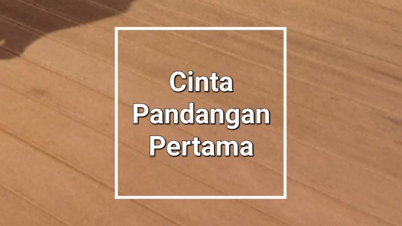 Tribun