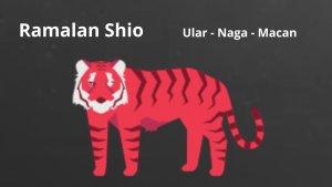 031223-shioW2.jpg