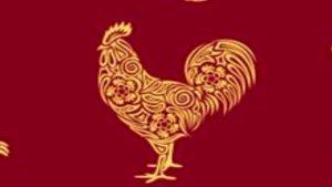 180324-shio-ayam-1.jpg