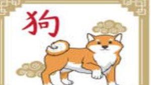 190324-shio-anjing2.jpg