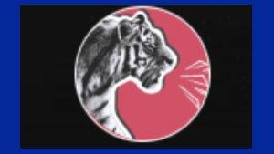 191023-macan.jpg