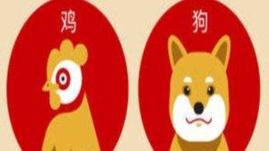 210324-ayam-dan-anjing.jpg