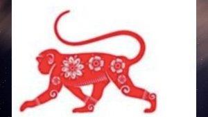 220324-monyet1.jpg