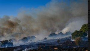 250924-Golan.jpg
