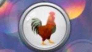 260324-ayam2.jpg