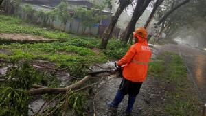 Akibat-cuaca-ekstrem-hujan-deras-disertai-angin-kencang-terjadi-tiga-pohon-tumbang-di-Minut.jpg