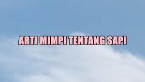 Berikut-arti-mimpi-tentang-sapiasdg.jpg